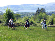 Ireland-Connemara/Galway-Castles & Monastic Ruins Getaway